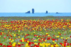Участок ИЖС возле черного моря...